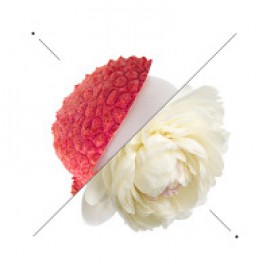 Luxury άρωμα − Ultramarine Blue Niche