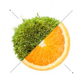 Luxury άρωμα − Crimson Aura