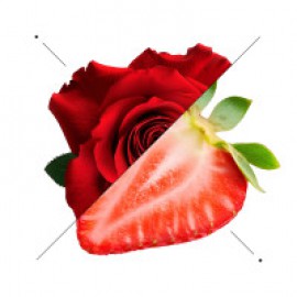 Luxury άρωμα  − Solar Noire